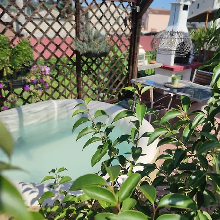 Guest house Exotic Flavour House